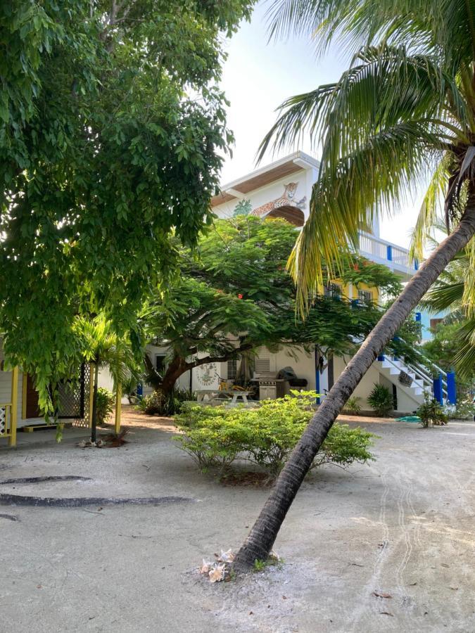 Jaguar Morning Star Hotel Caye Caulker Exterior photo